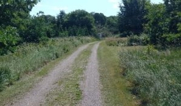 Tuenvej 31A